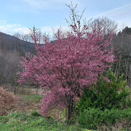 Holiday home Notre Retraite Ventron