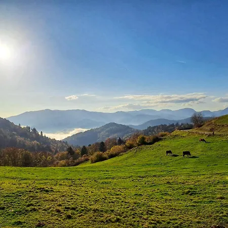 Notre Retraite Semesterbostad *