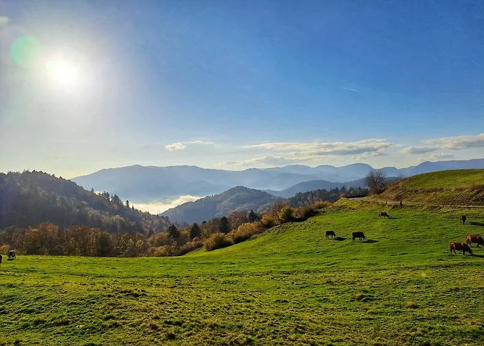 Notre Retraite Hébergement de vacances *