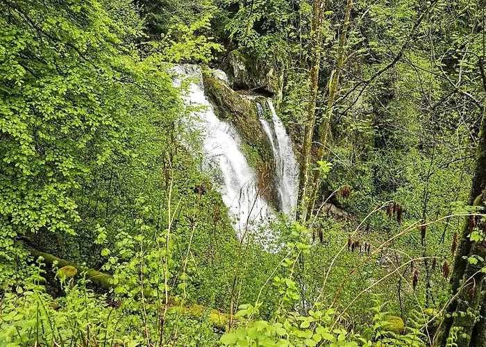 Notre Retraite Hébergement de vacances Ventron